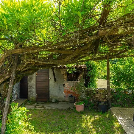 Apartman Valli *