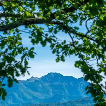 Valli Apartman