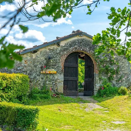 Valli Apartman